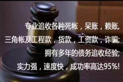 无力偿还债务，法院如何定性罪行？